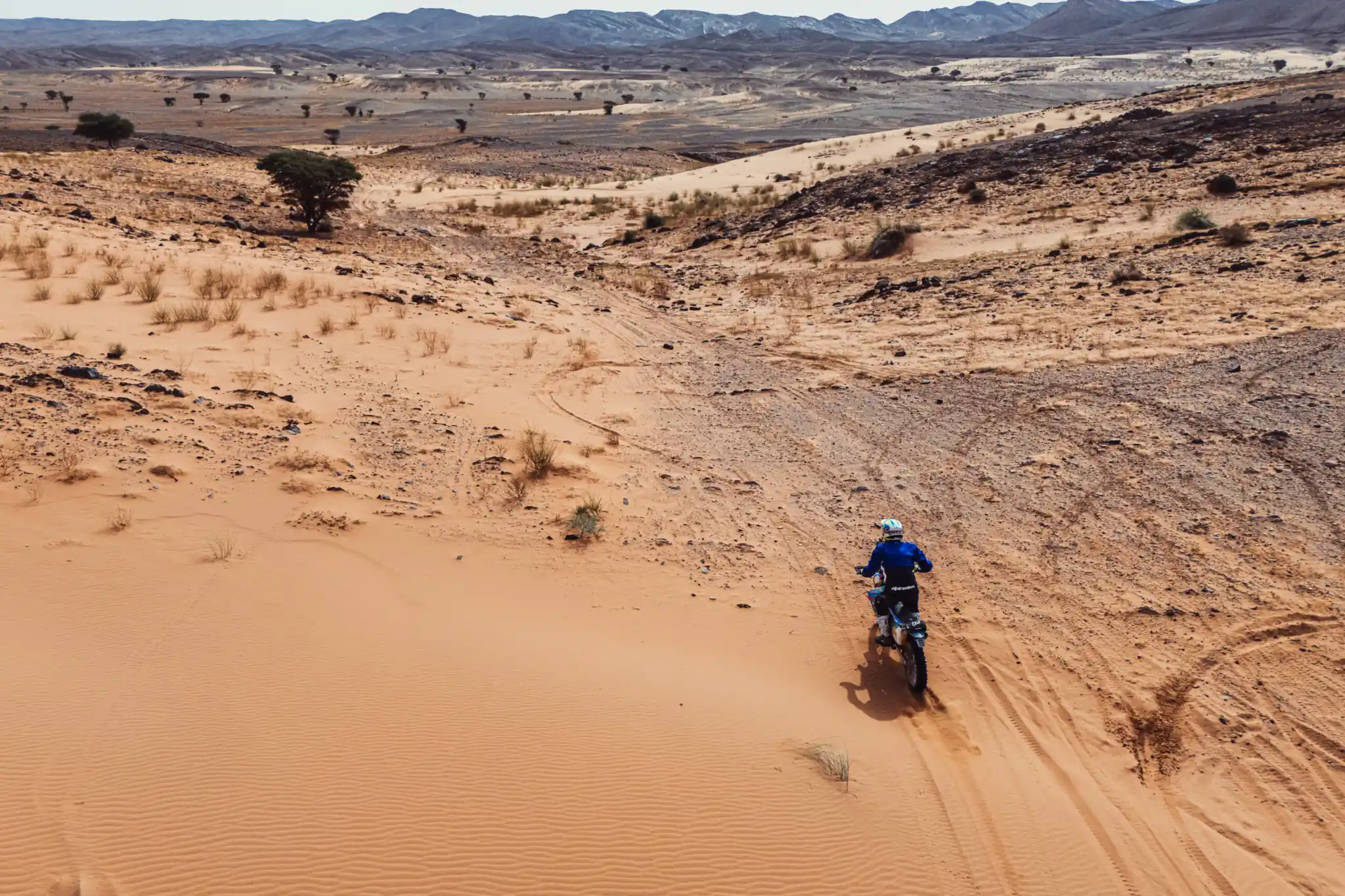 ERRWC et AER 1 traces